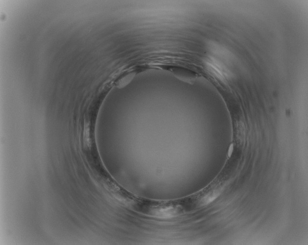 X0000075860267200609221803