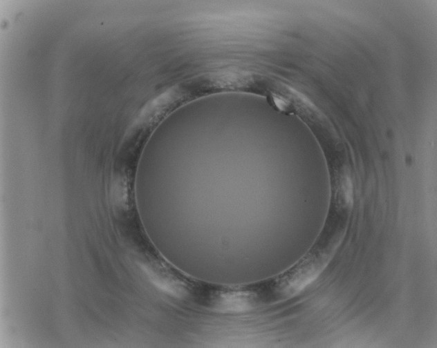 X0000075860268200609221803