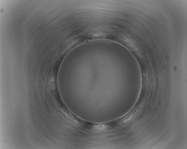 X0000075860269200609221803