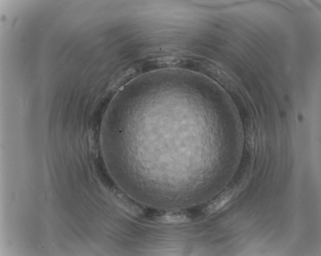 X0000075860270200609221803