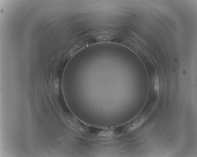 X0000075860271200609221803