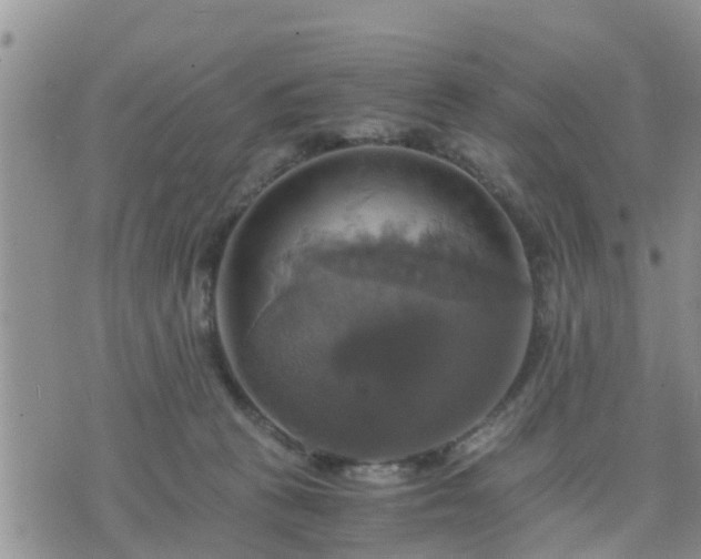 X0000075860273200609221803