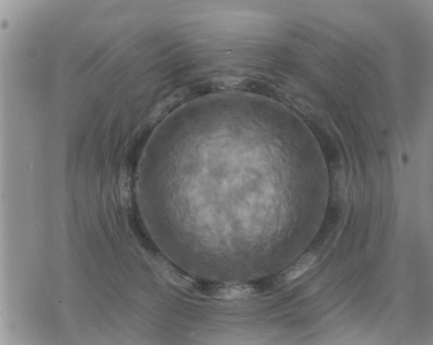 X0000075860274200609221803