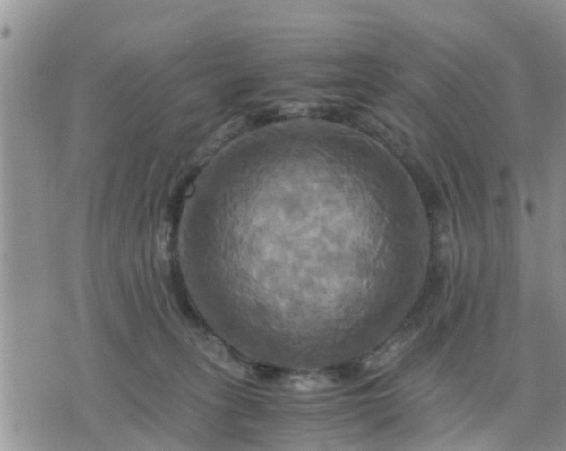 X0000075860275200609221803