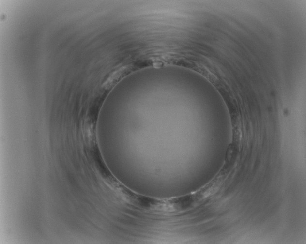 X0000075860276200609221803