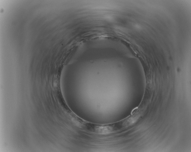 X0000075860277200609221803