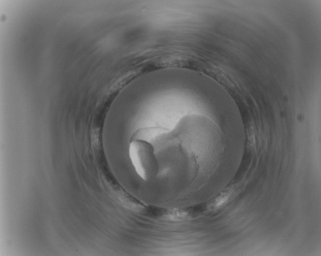 X0000075860278200609221803