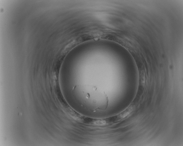 X0000075860279200609221803