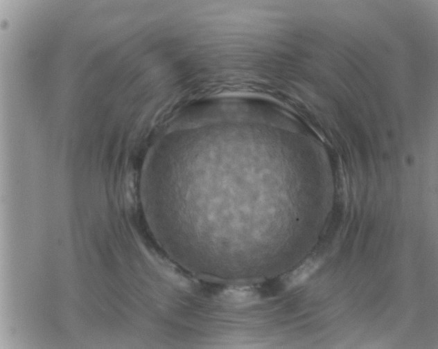 X0000075860280200609221803