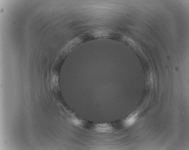 X0000075860281200609221803