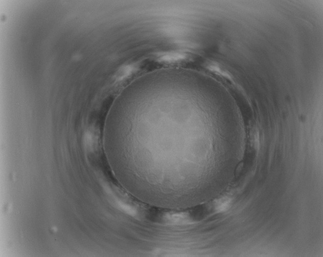 X0000075860283200609221803