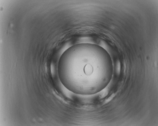 X0000075860284200609221803