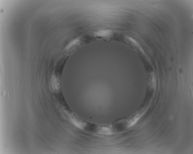 X0000075860285200609221803