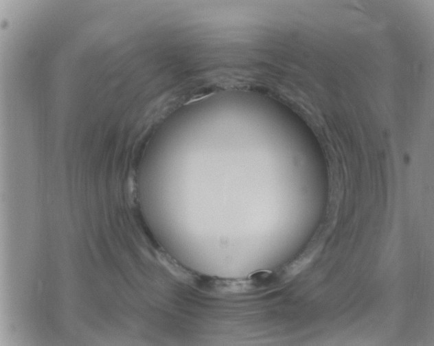 X0000075860288200609221803