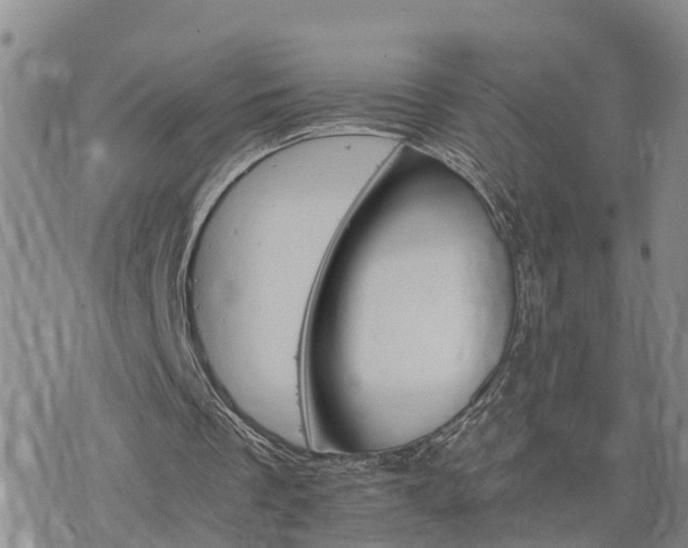 X0000075860289200609221802