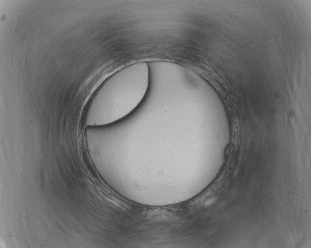 X0000075860290200609221802