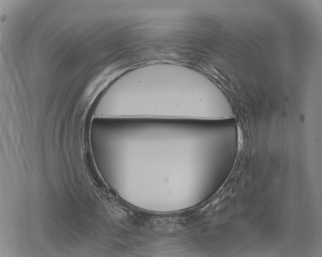 X0000075860291200609221802