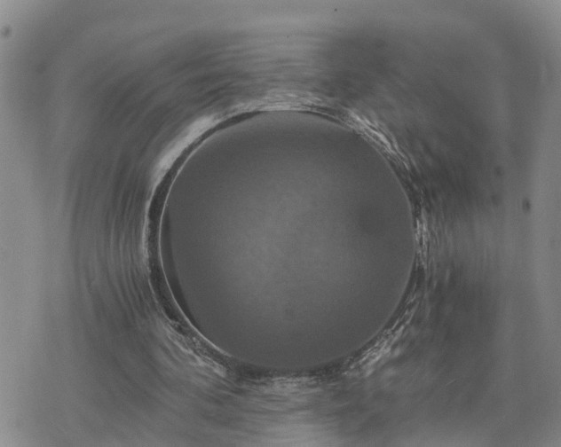 X0000075860292200609221802