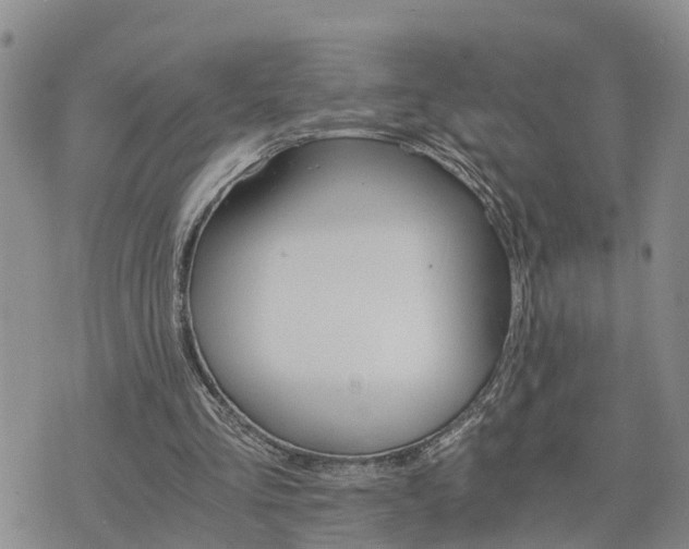 X0000075860293200609221802