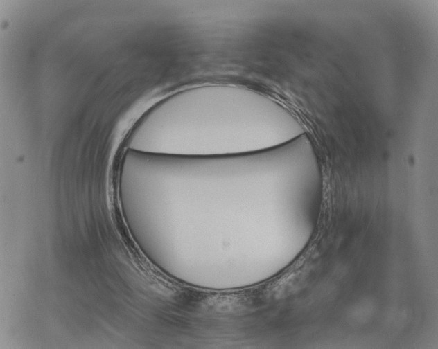 X0000075860294200609221802