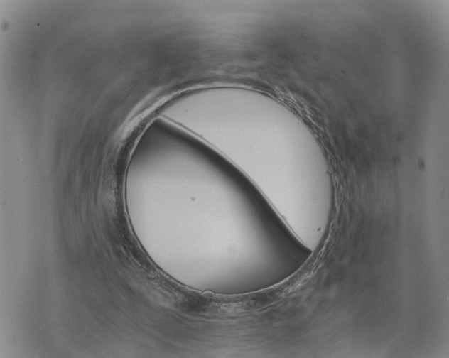 X0000075860295200609221802