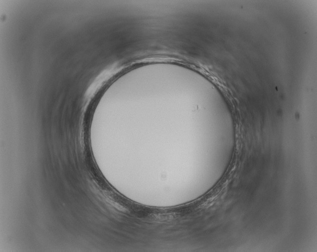 X0000075860296200609221802