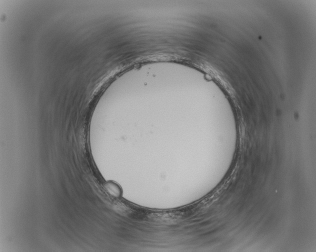 X0000075860297200609221802