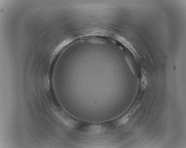 X0000075860298200609221802