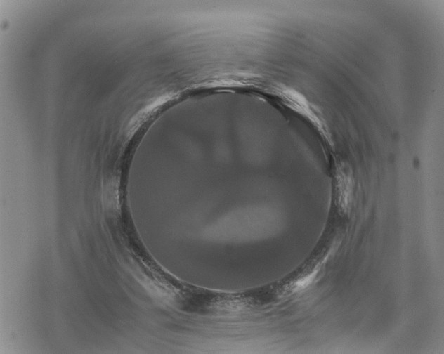 X0000075860299200609221802