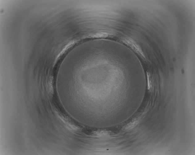 X0000075860300200609221802