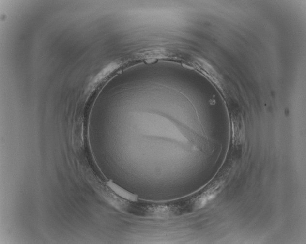 X0000075860301200609221802