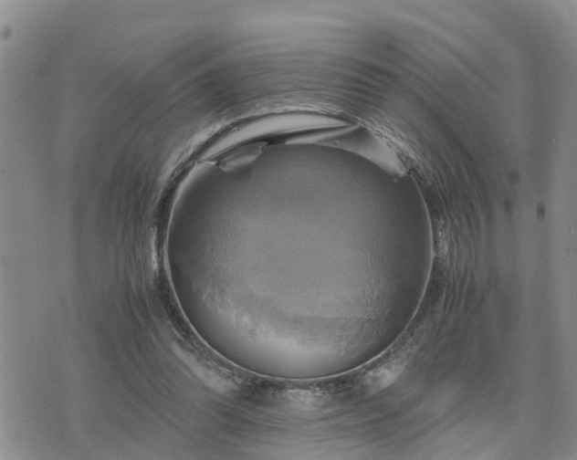 X0000075860302200609221802