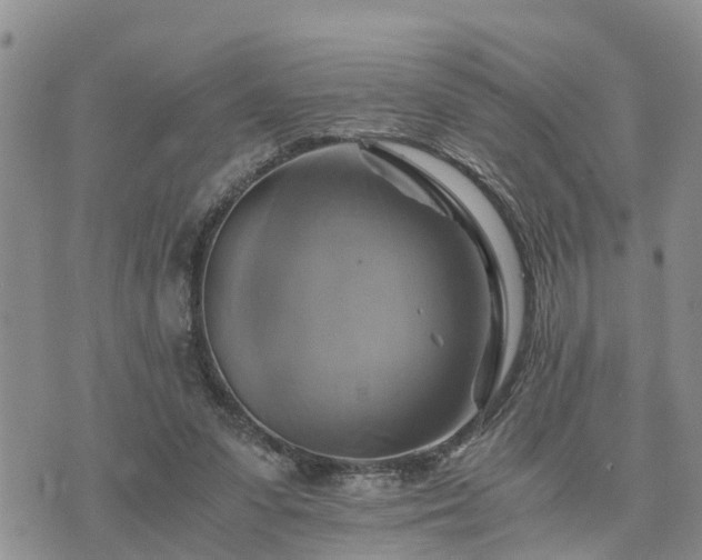 X0000075860303200609221802