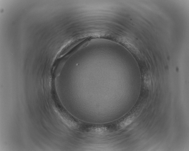 X0000075860304200609221802