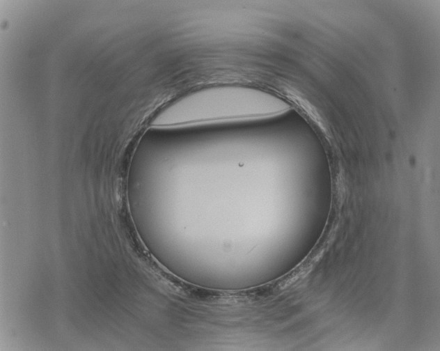 X0000075860305200609221802