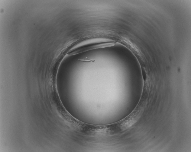 X0000075860306200609221802