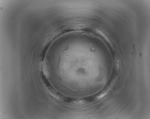 X0000075860307200609221802