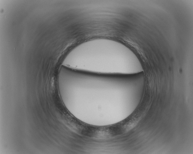 X0000075860308200609221802