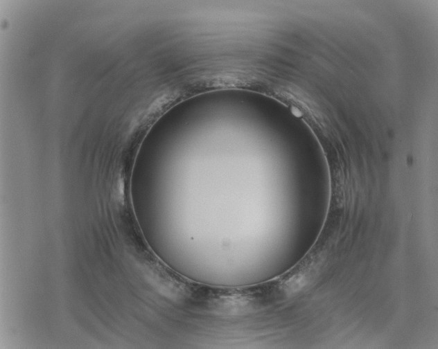 X0000075860310200609221802