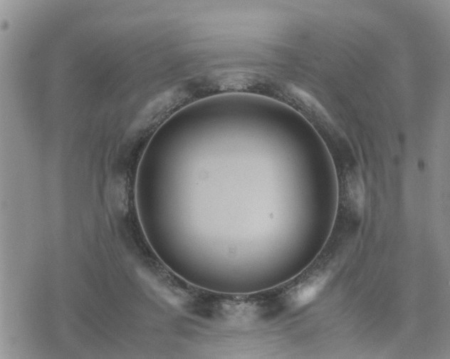 X0000075860311200609221802