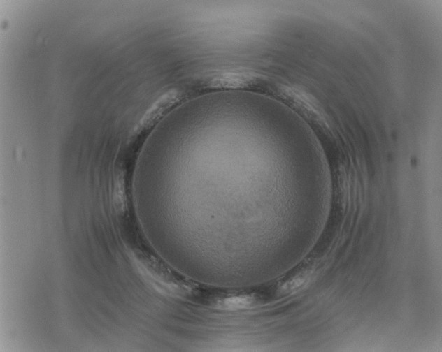 X0000075860312200609221802