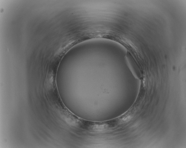 X0000075860314200609221802