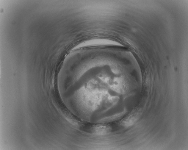 X0000075860315200609221802