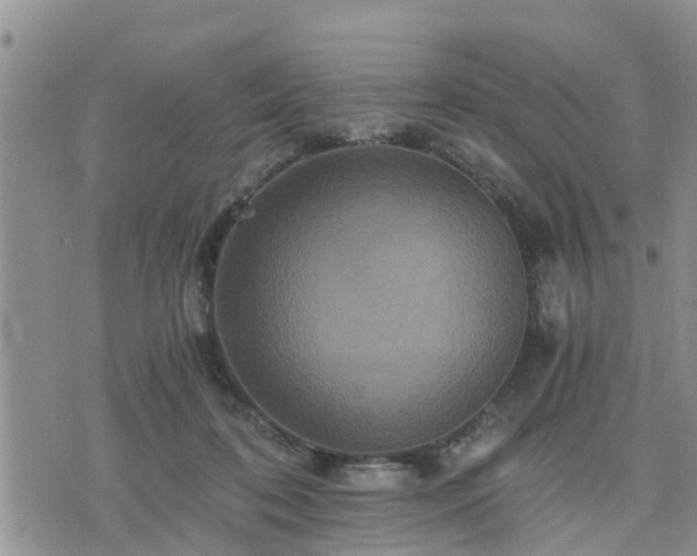 X0000075860316200609221802