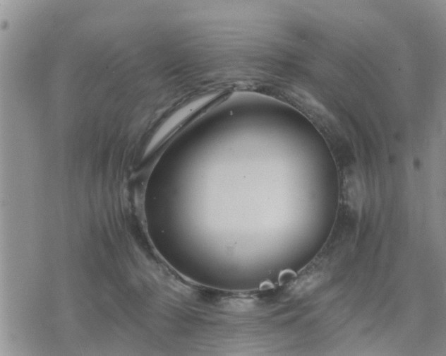 X0000075860318200609221802