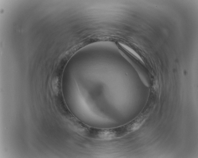 X0000075860319200609221802