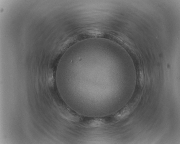 X0000075860320200609221802