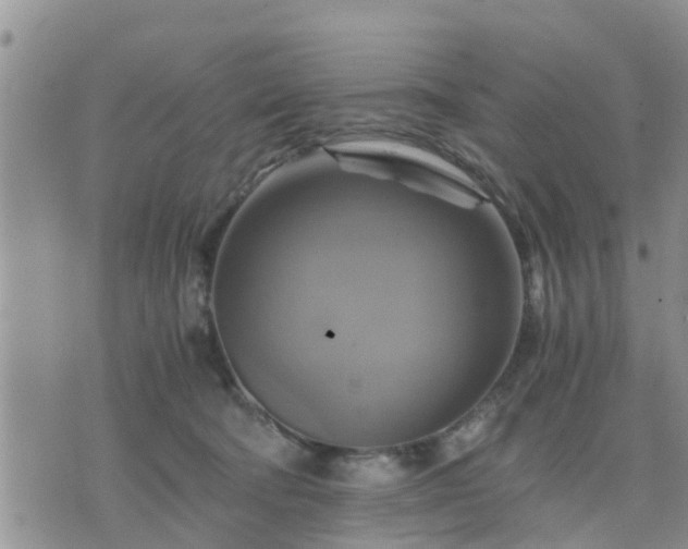 X0000075860322200609221802