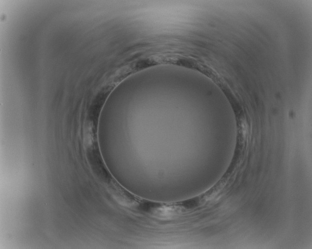 X0000075860323200609221802