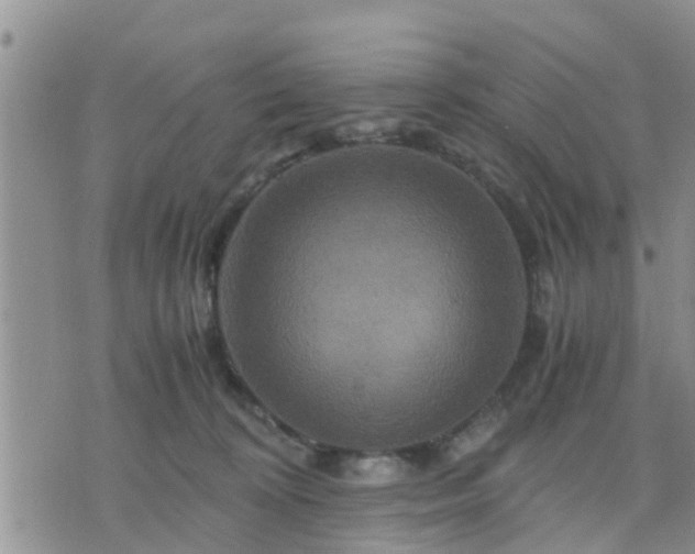 X0000075860324200609221802